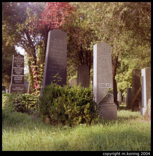 18716 - Zentralfriedhof Wien