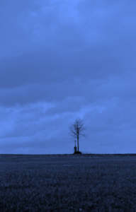 Waldviertel