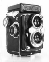 Yashica D