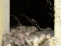 Sofien Säle - Vienna, Austria